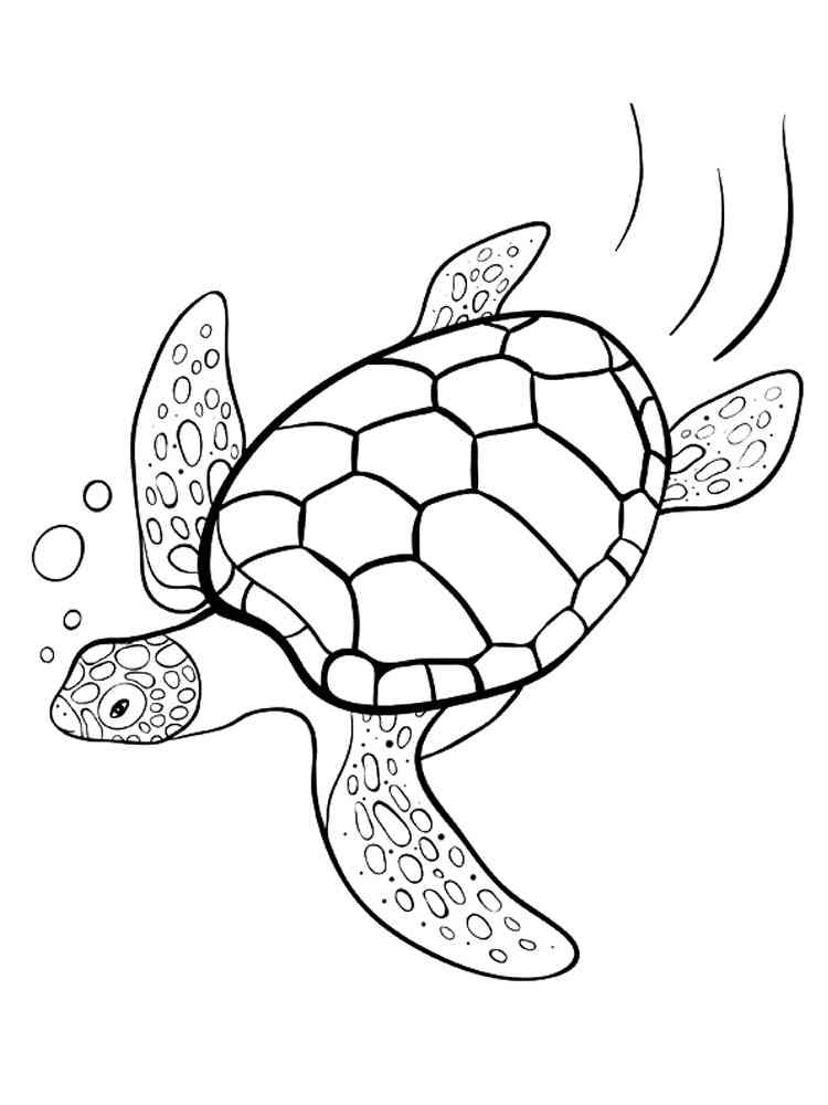 55 Sea Turtle Coloring Pages 29