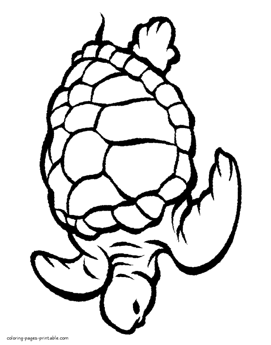 55 Sea Turtle Coloring Pages 31