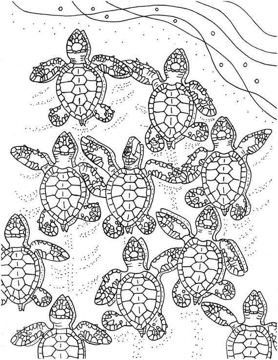 55 Sea Turtle Coloring Pages 36