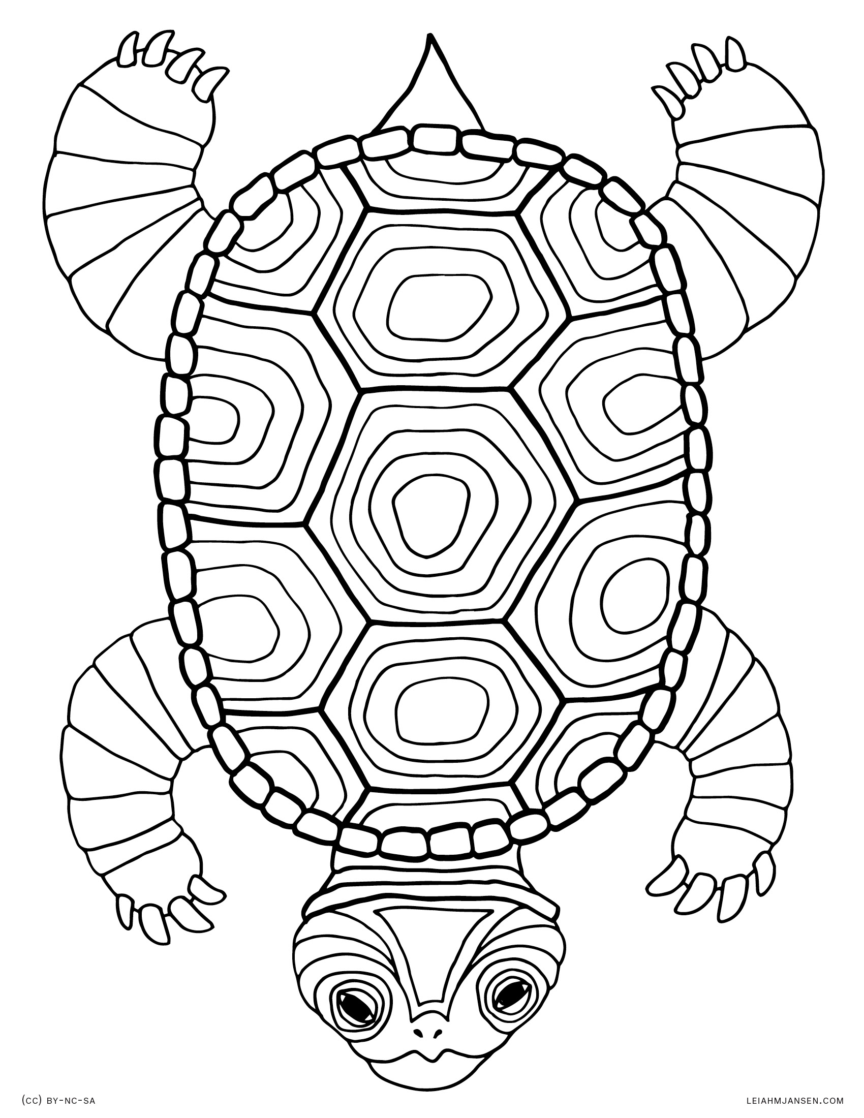 55 Sea Turtle Coloring Pages 39