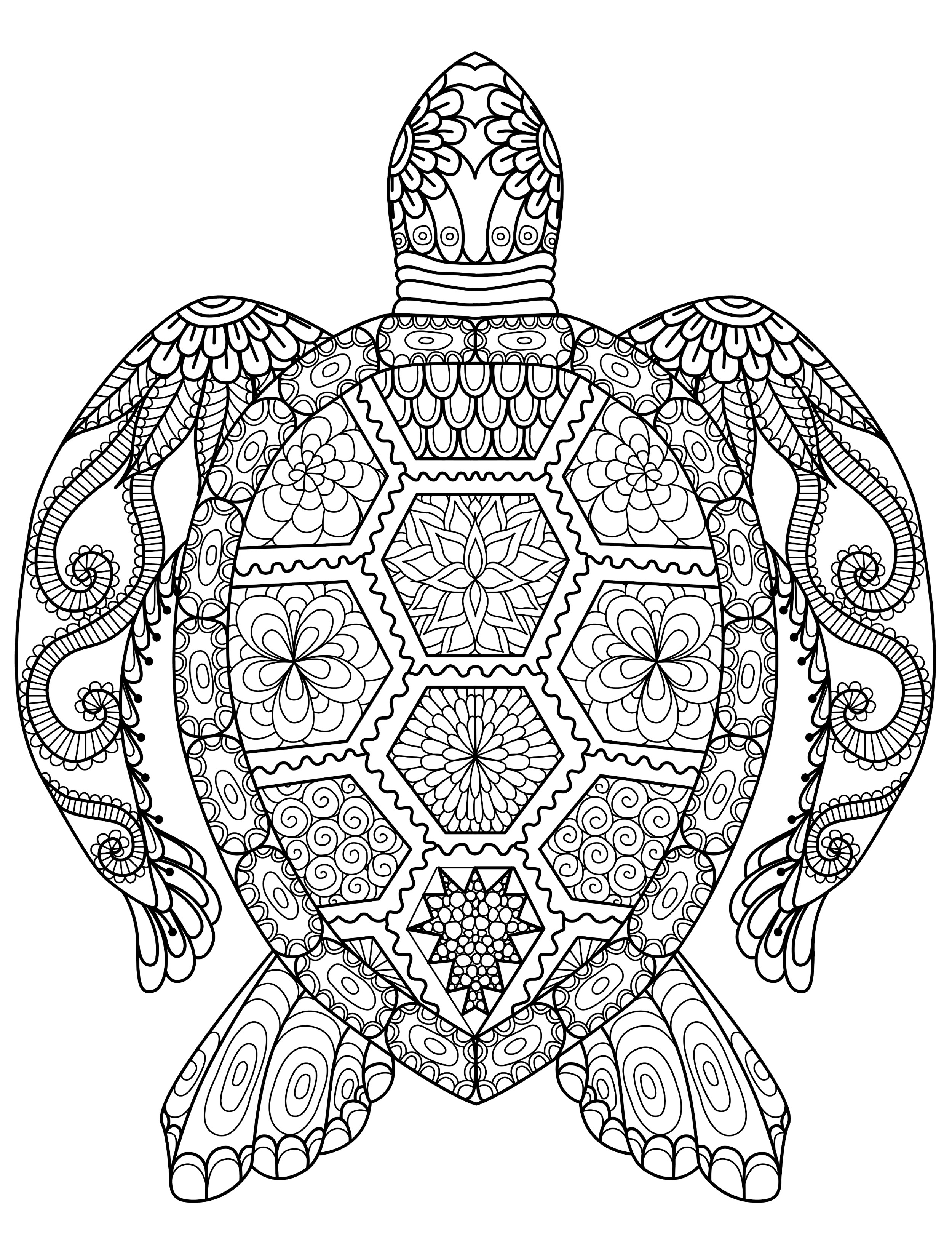 55 Sea Turtle Coloring Pages 42