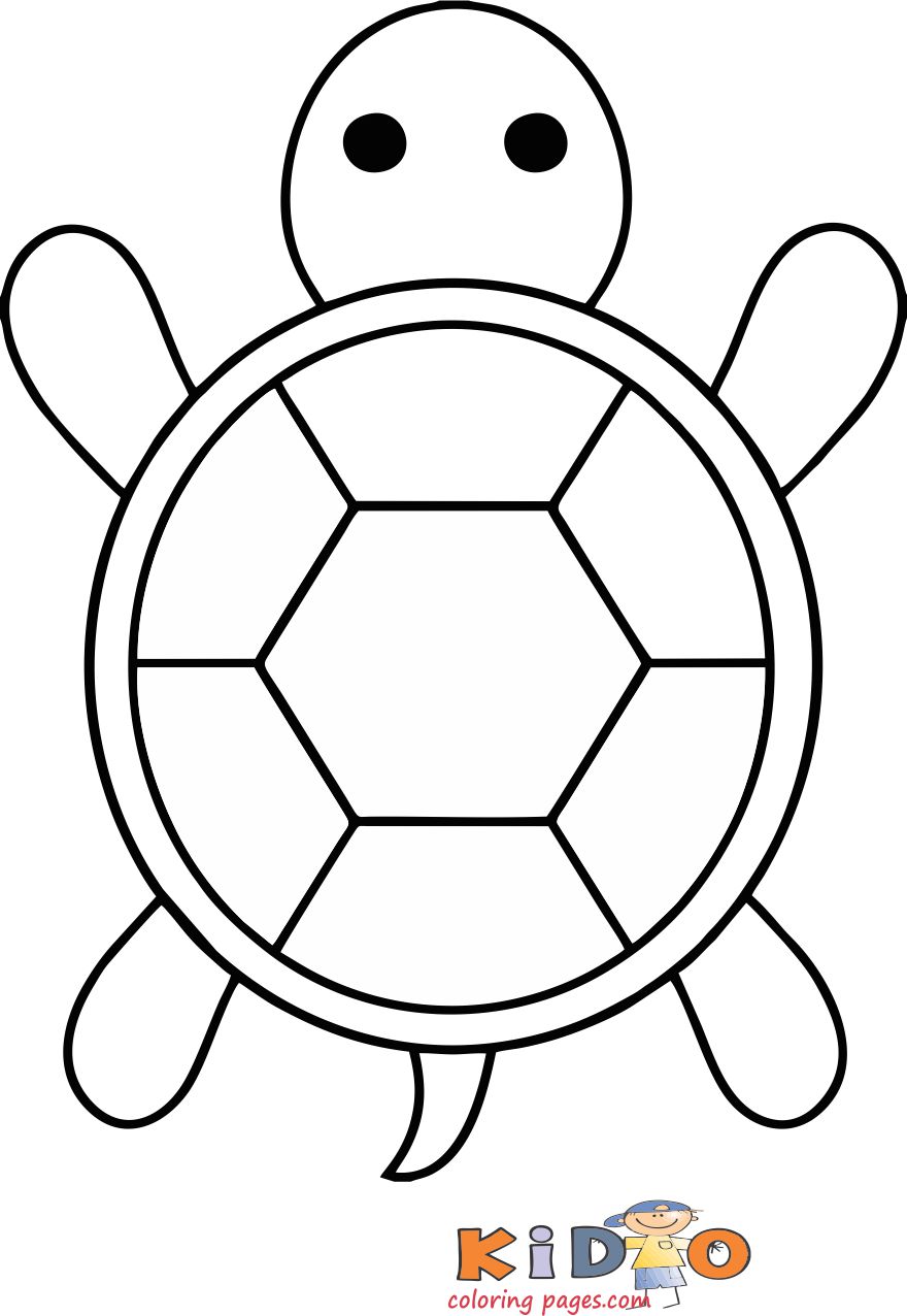 55 Sea Turtle Coloring Pages 57