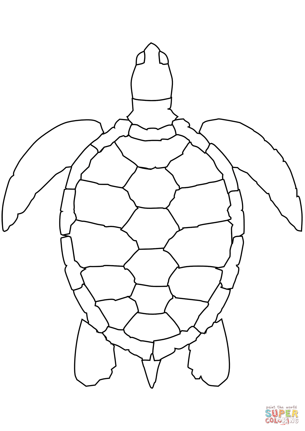 55 Sea Turtle Coloring Pages 58