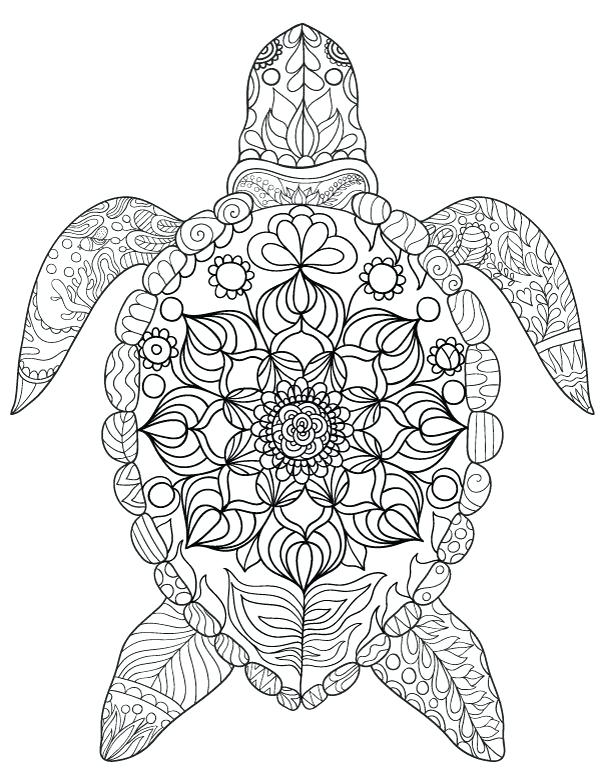 55 Sea Turtle Coloring Pages 60