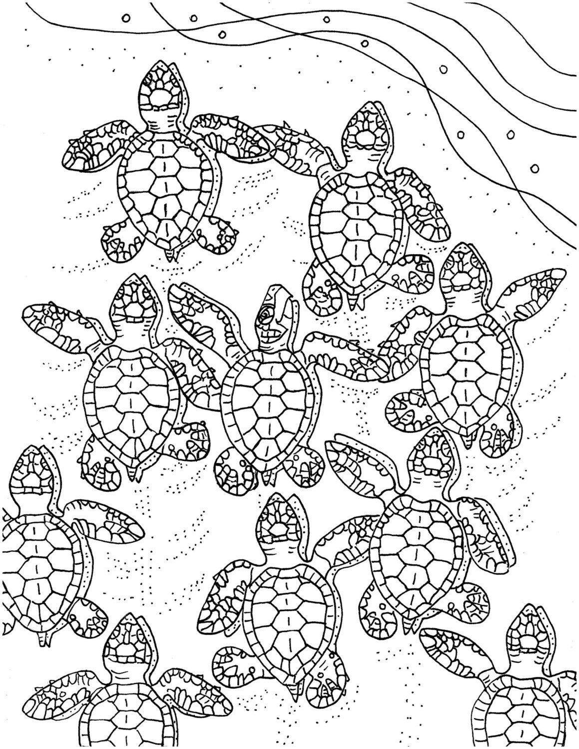 55 Sea Turtle Coloring Pages 62