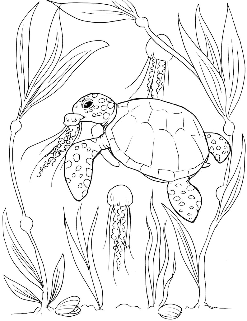 55 Sea Turtle Coloring Pages 63