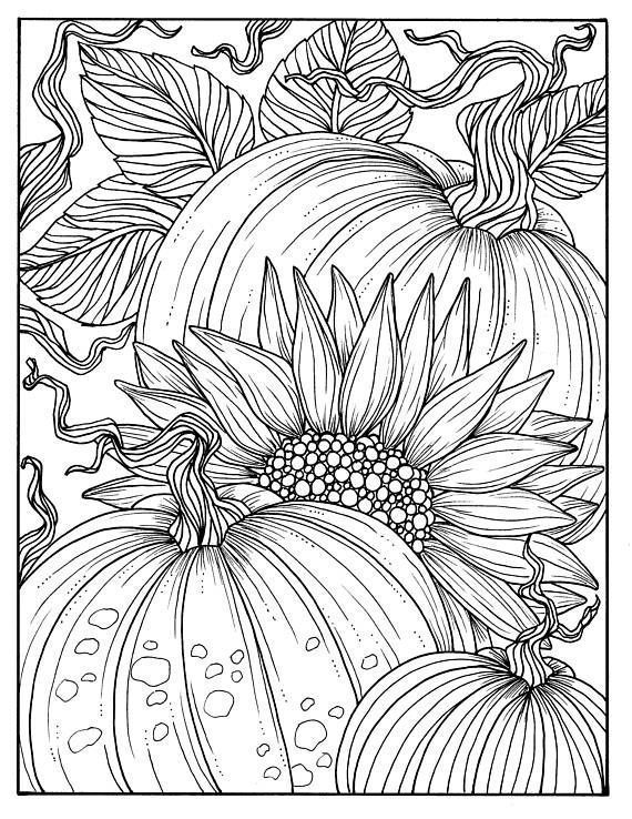 55 Simple Coloring Pages For Adults 46