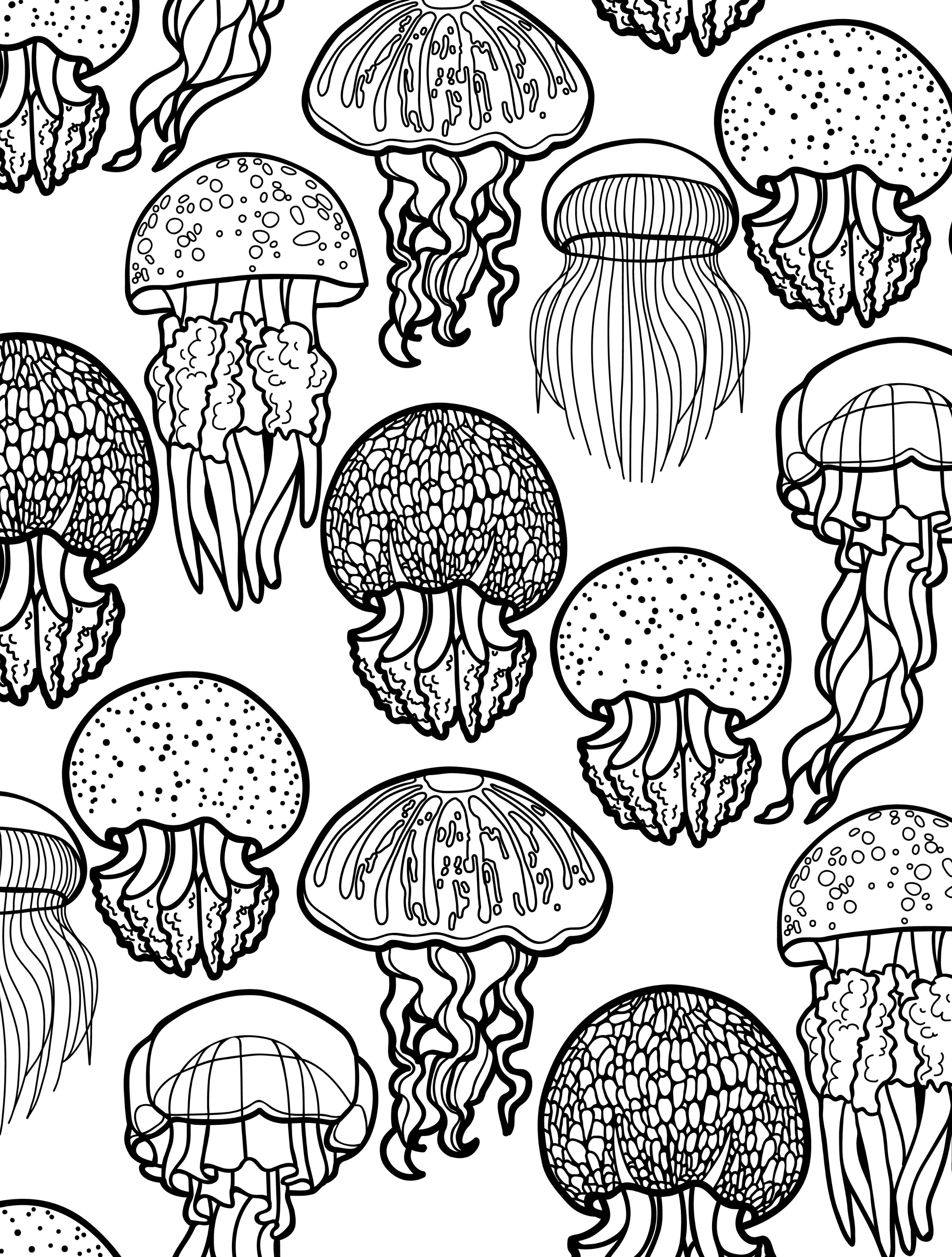 55 Simple Coloring Pages For Adults 9