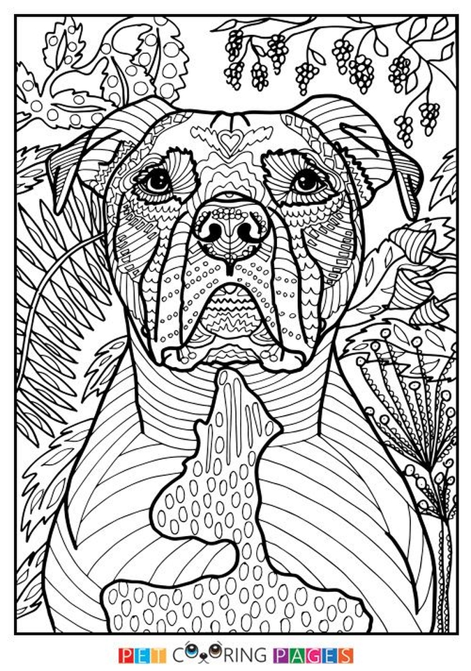 55 Summer Coloring Pages For Adults 11