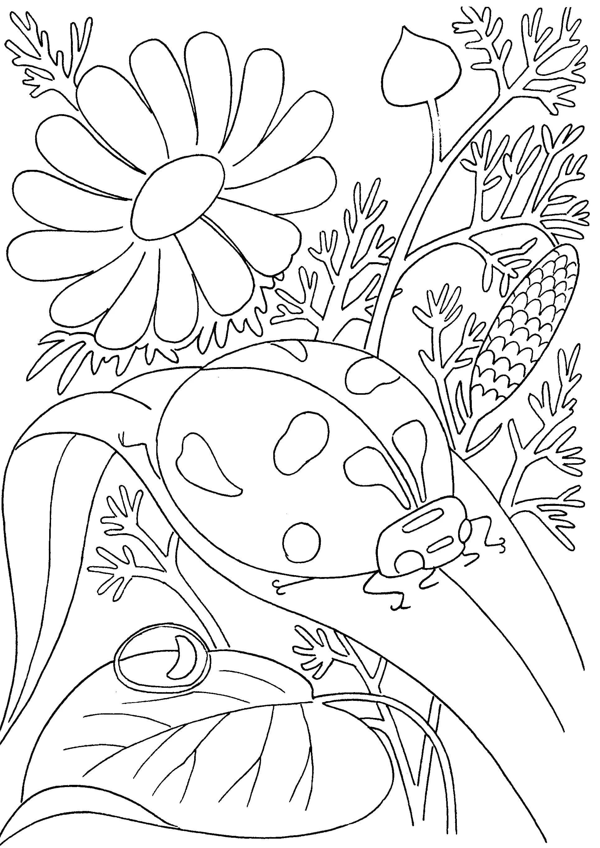 55 Summer Coloring Pages For Adults 12