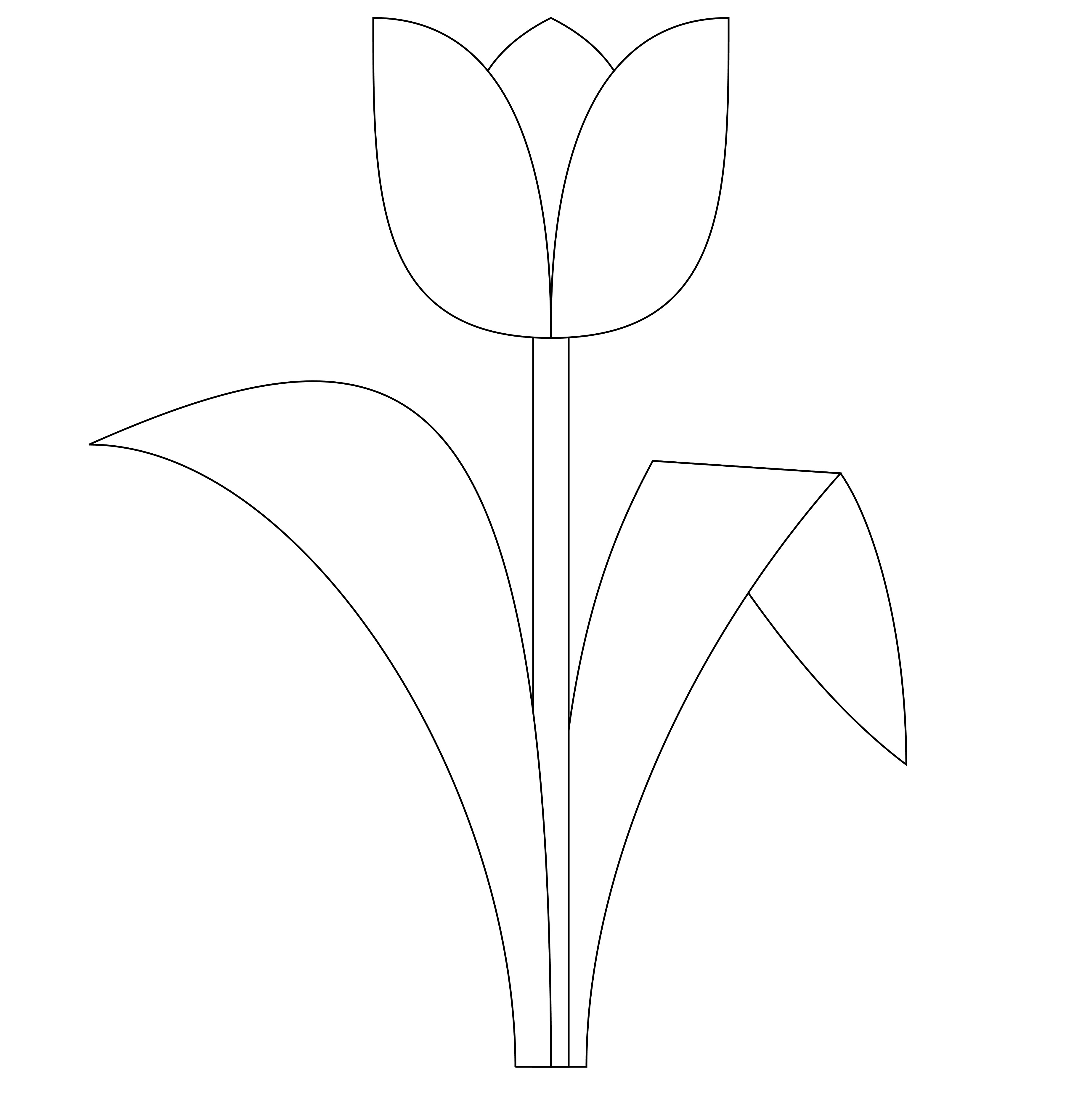 55 Tulip Coloring Pages 51