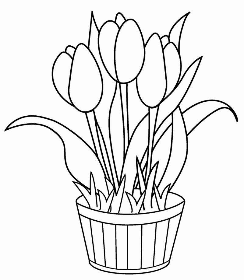 55 Tulip Coloring Pages 53