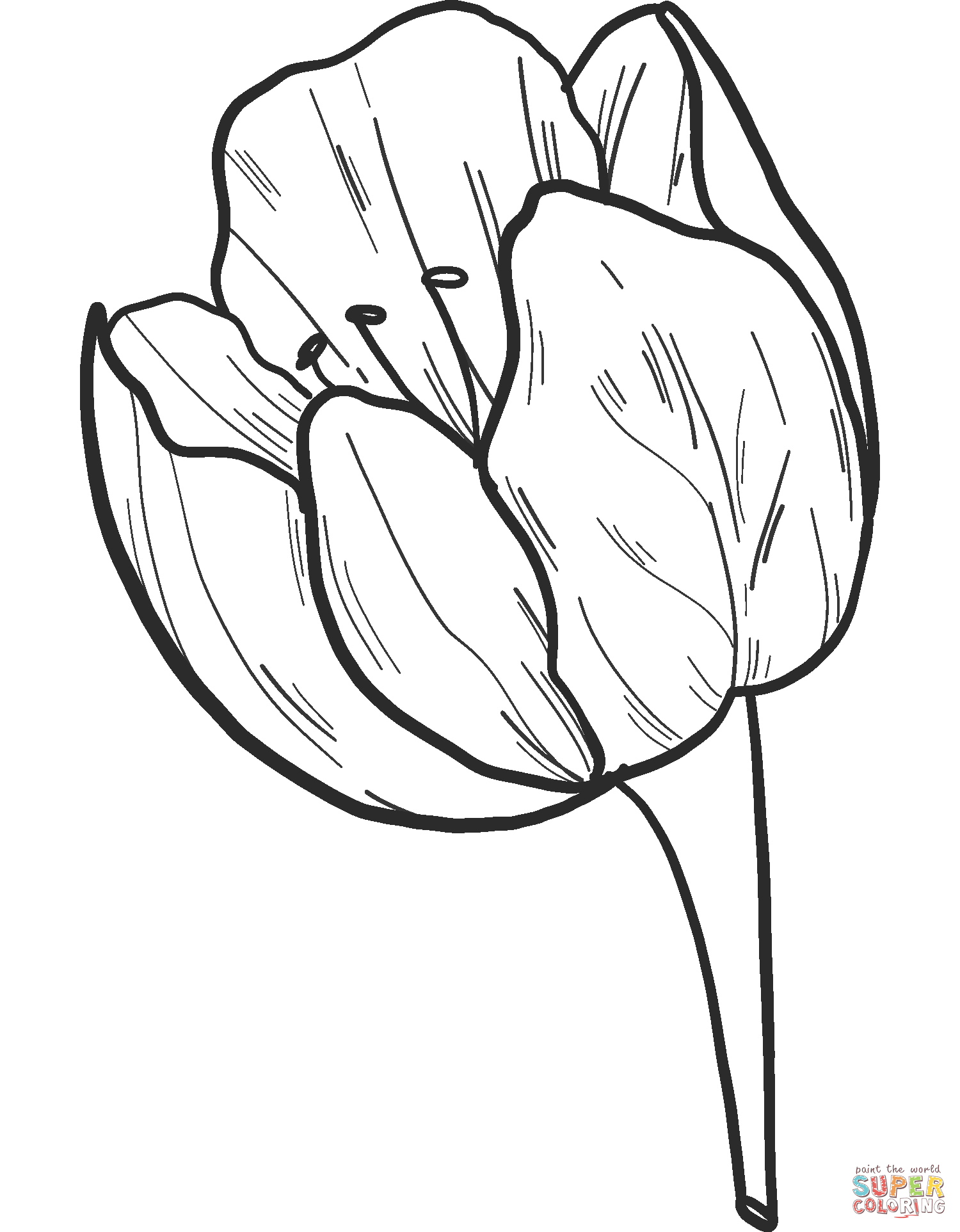 55 Tulip Coloring Pages 55