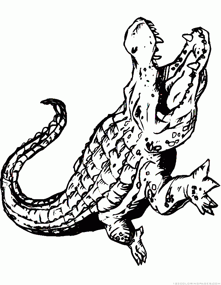 80 Printable Coloring Pages Alligator 64