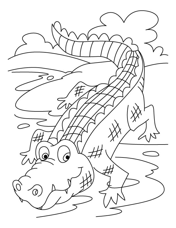 80 Printable Coloring Pages Alligator 69