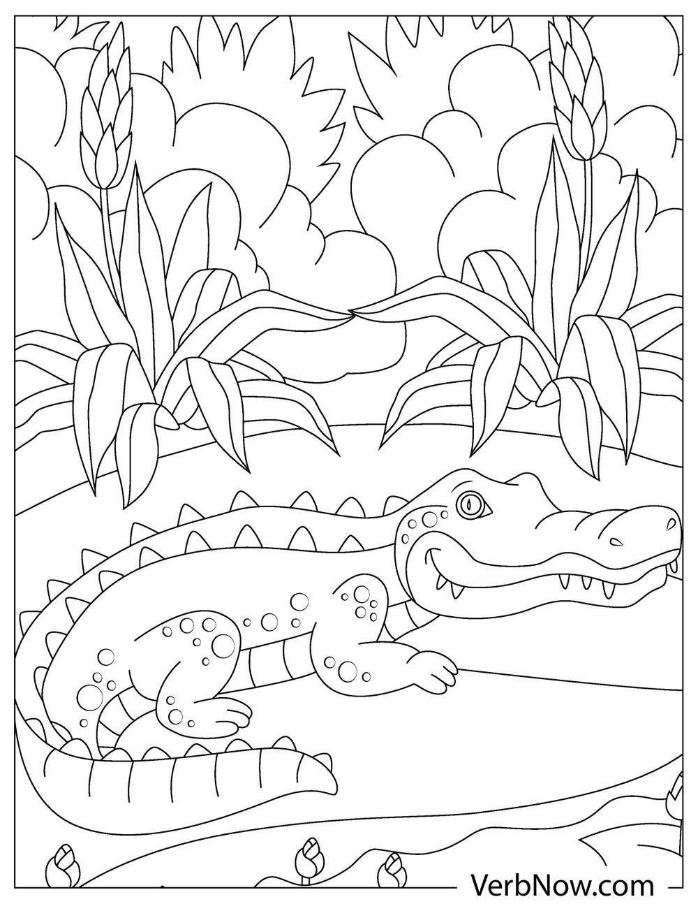 80 Printable Coloring Pages Alligator 72