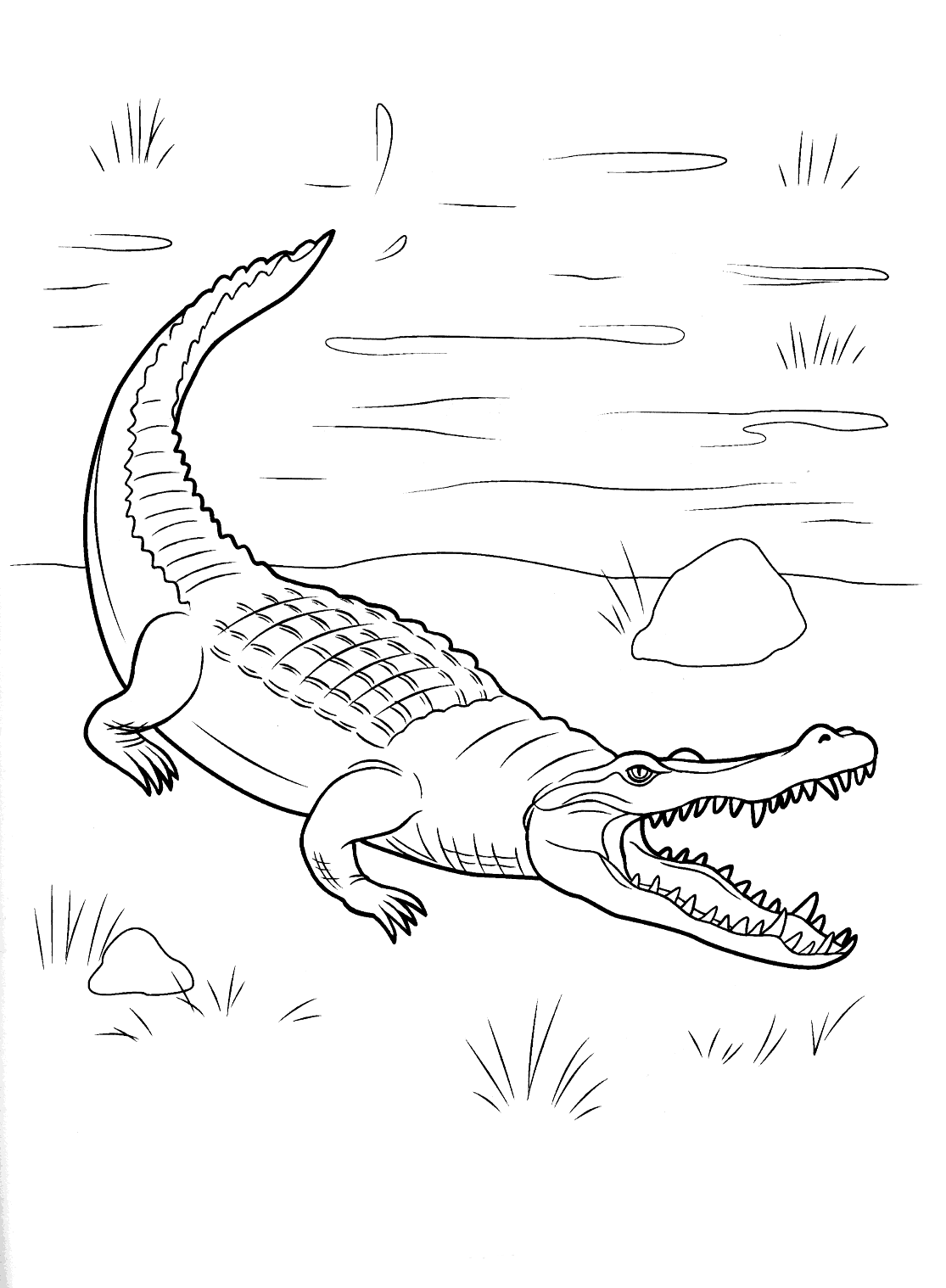 80 Printable Coloring Pages Alligator 73