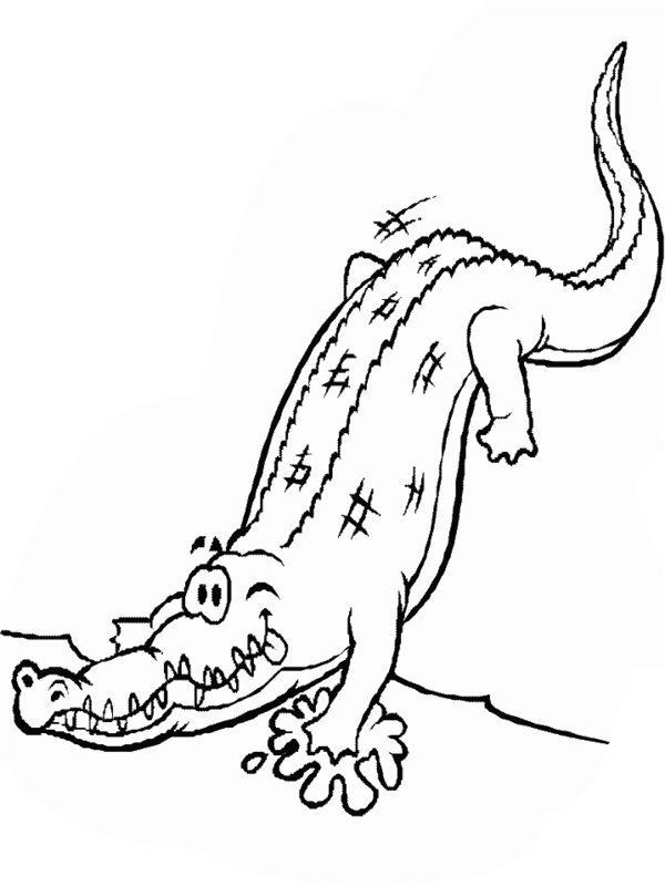 80 Printable Coloring Pages Alligator 74