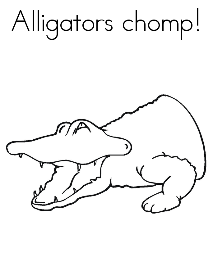 80 Printable Coloring Pages Alligator 78