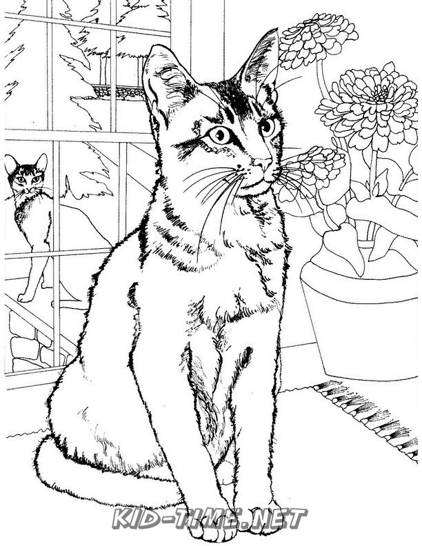 80 Printable Realistic Cat Coloring Pages 10