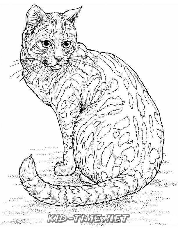 80 Printable Realistic Cat Coloring Pages 17