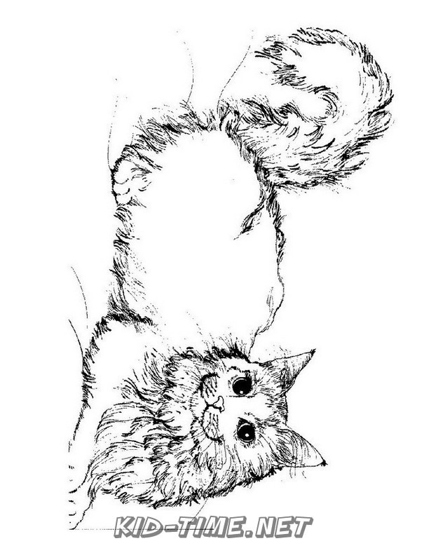 80 Printable Realistic Cat Coloring Pages 65