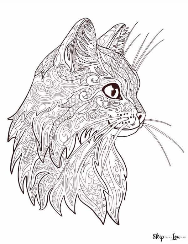 80 Printable Realistic Cat Coloring Pages 66