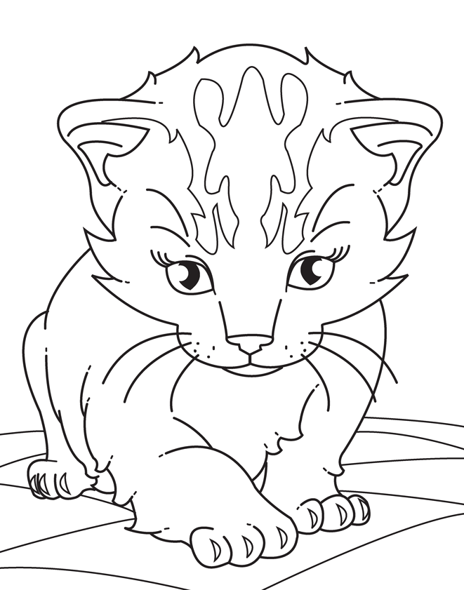 80 Printable Realistic Cat Coloring Pages 67