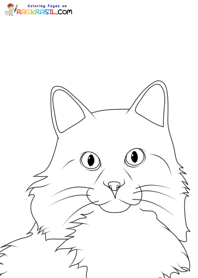 80 Printable Realistic Cat Coloring Pages 70