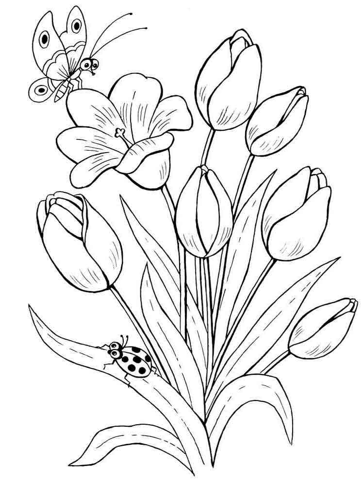 80 Printable Tulip Coloring Pages 71