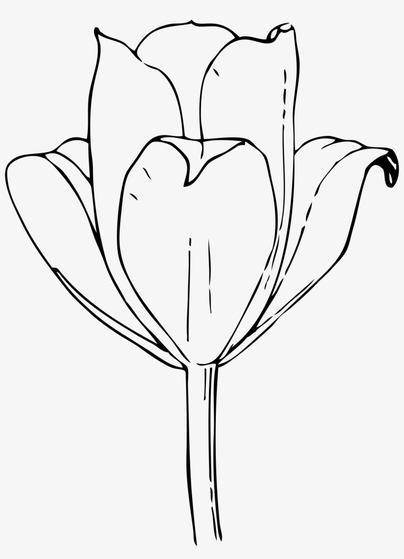 80 Printable Tulip Coloring Pages 75