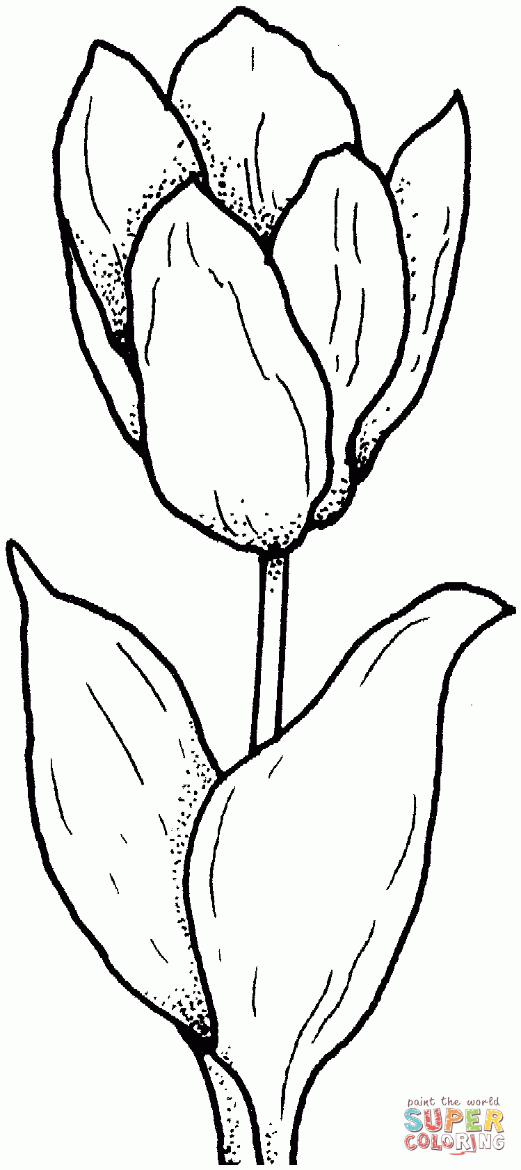 80 Printable Tulip Coloring Pages 77