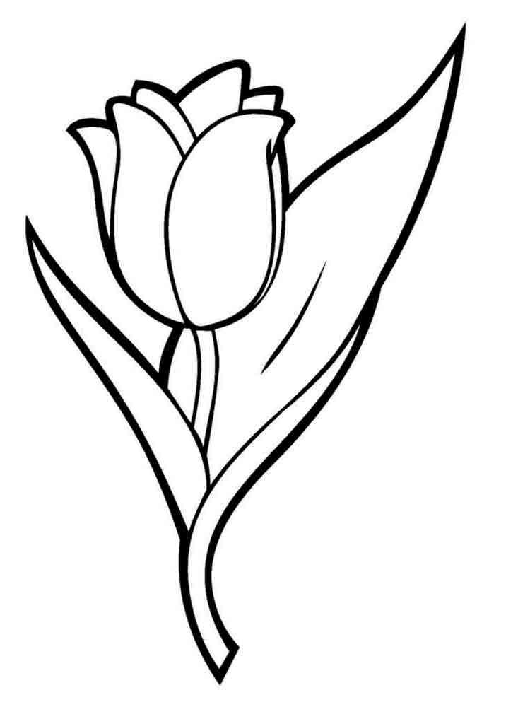 80 Printable Tulip Coloring Pages 78