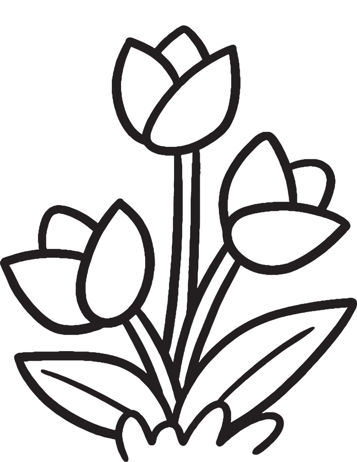 80 Printable Tulip Coloring Pages 79