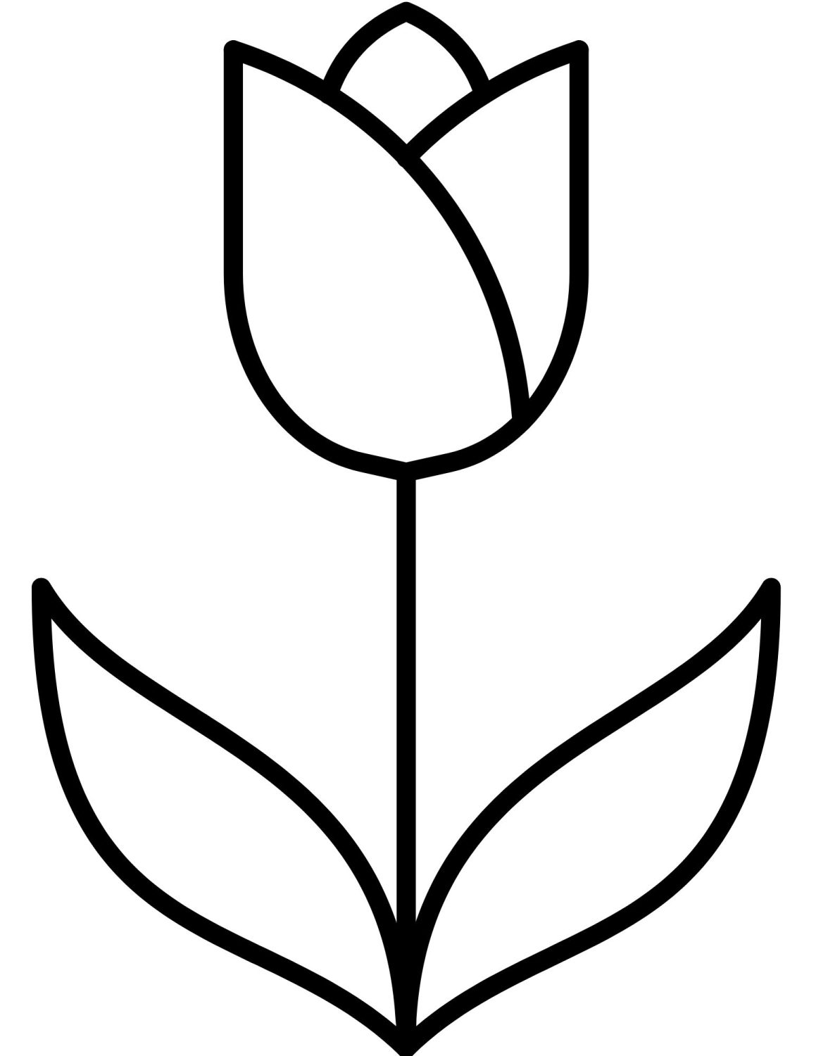 80 Printable Tulip Coloring Pages 80