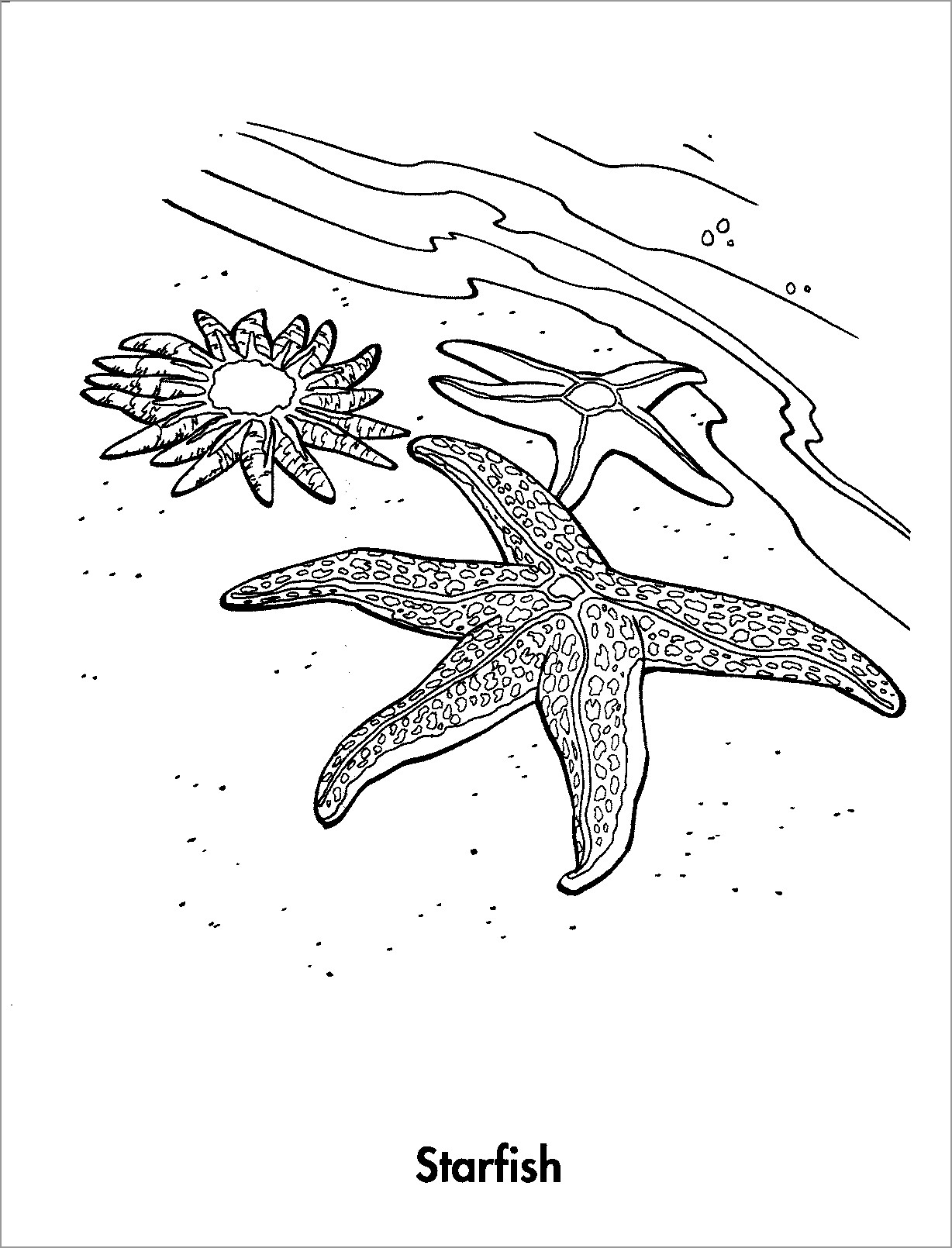 90 Printable Starfish Coloring Pages 81