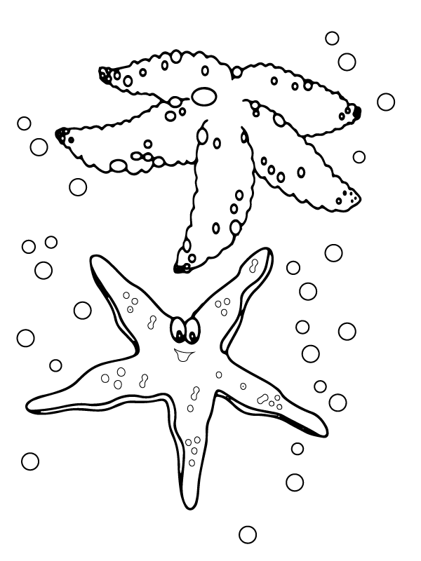 90 Printable Starfish Coloring Pages 85