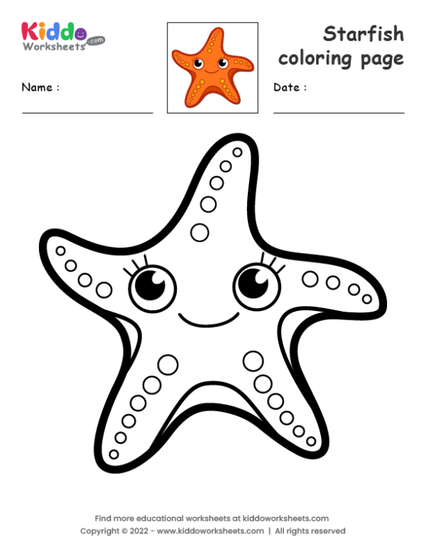 90 Printable Starfish Coloring Pages 90