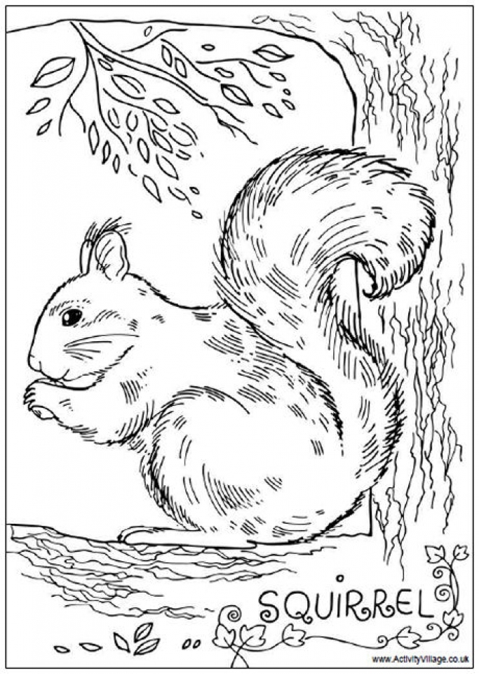 60 Printable Squirrel Coloring Pages 11