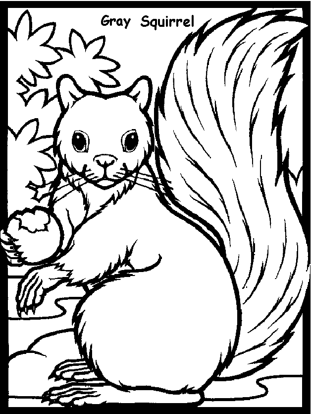 60 Printable Squirrel Coloring Pages 19