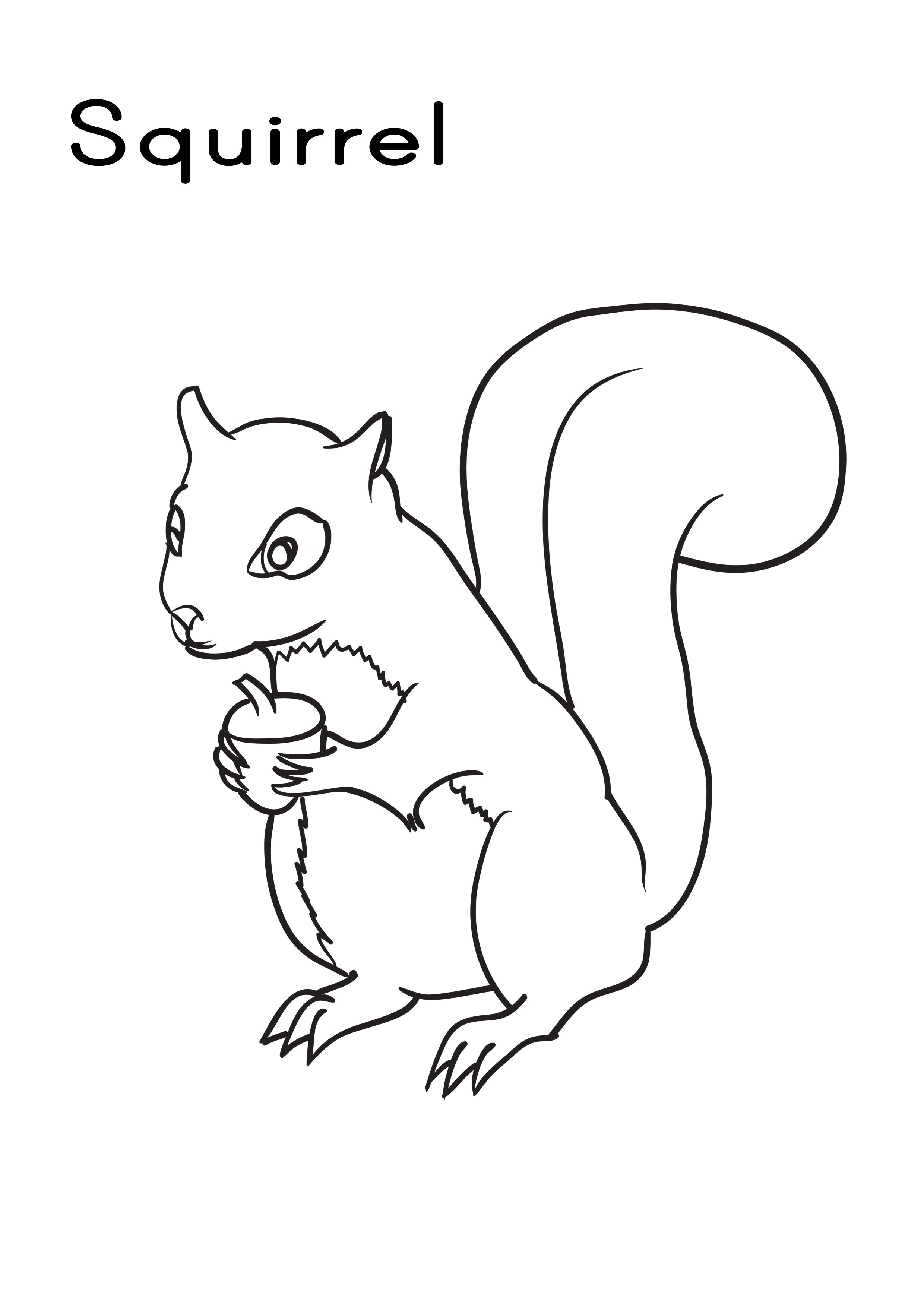 60 Printable Squirrel Coloring Pages 2