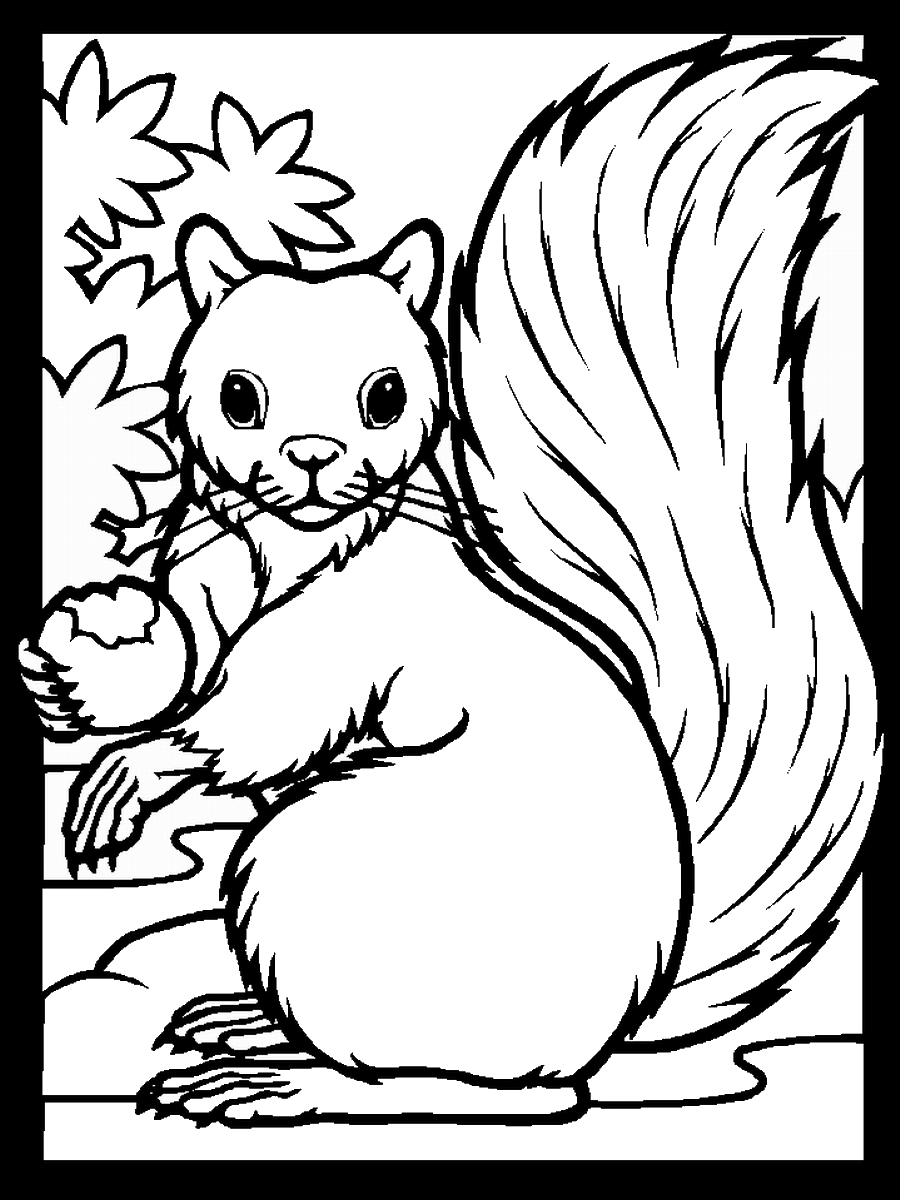 60 Printable Squirrel Coloring Pages 21