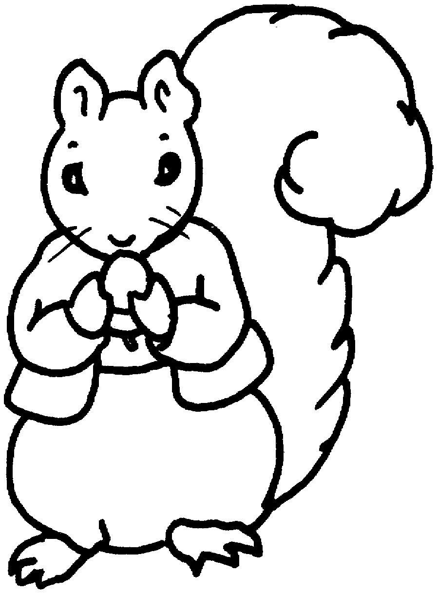 60 Printable Squirrel Coloring Pages 23