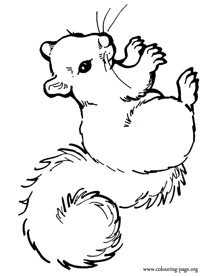 60 Printable Squirrel Coloring Pages 24