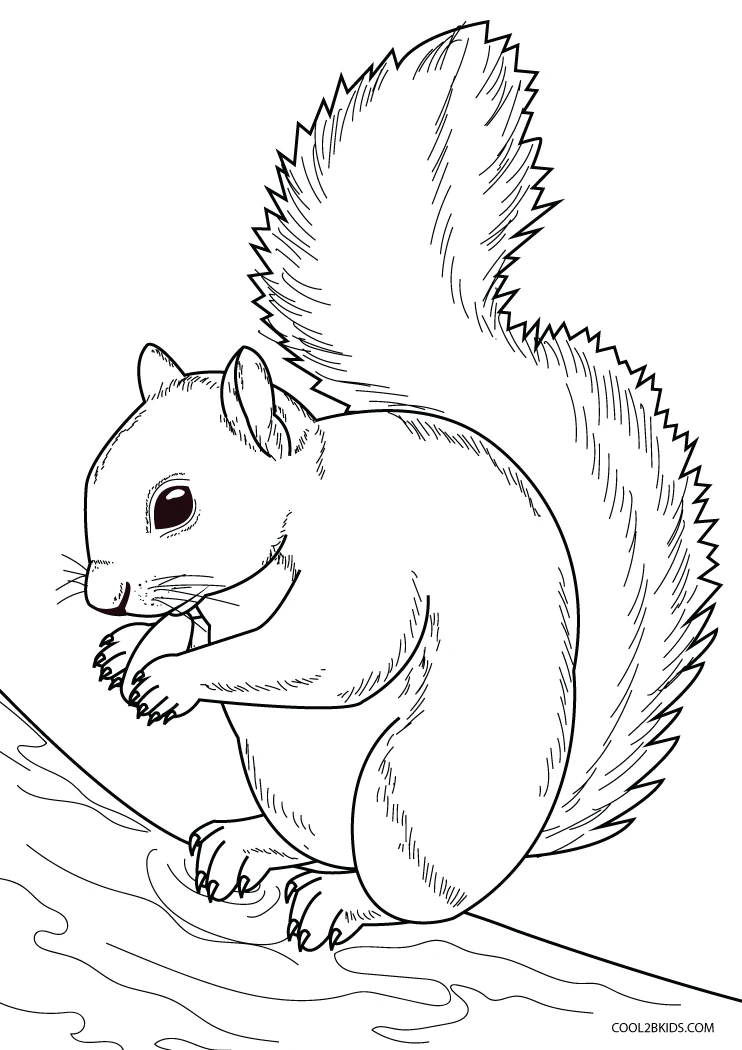 60 Printable Squirrel Coloring Pages 3