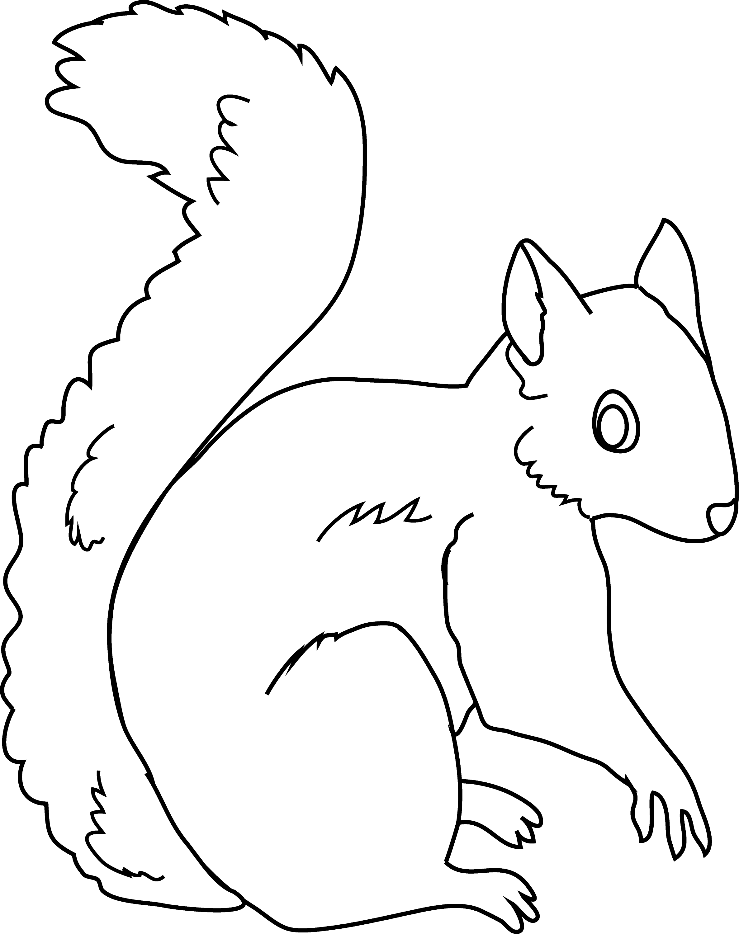 60 Printable Squirrel Coloring Pages 39