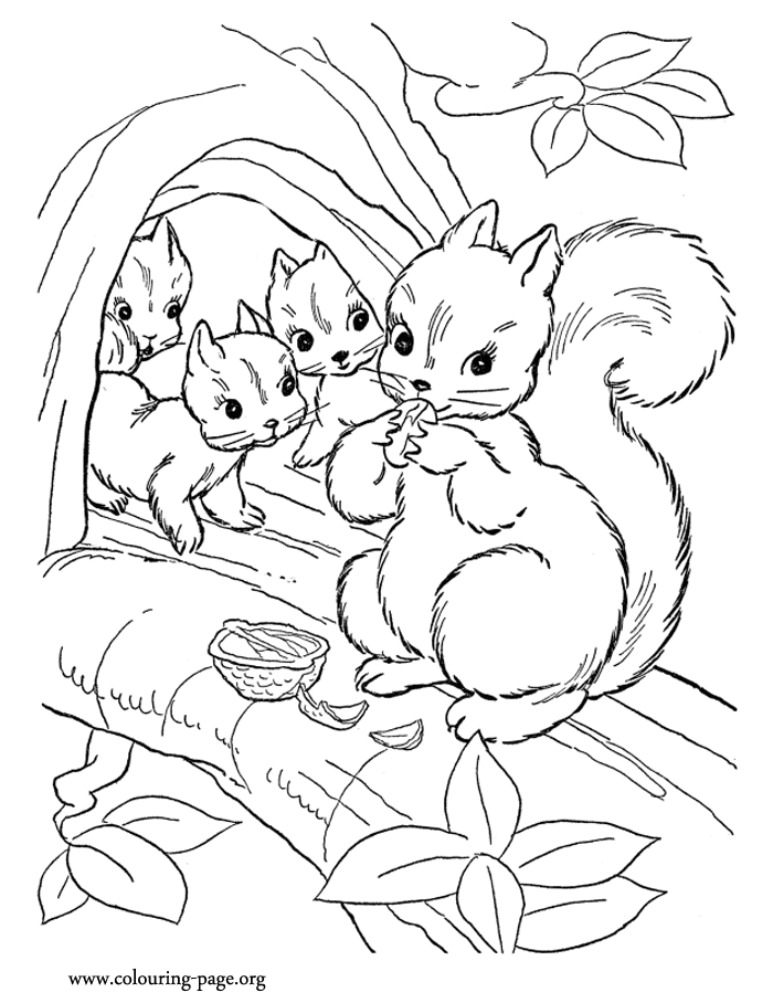 60 Printable Squirrel Coloring Pages 7