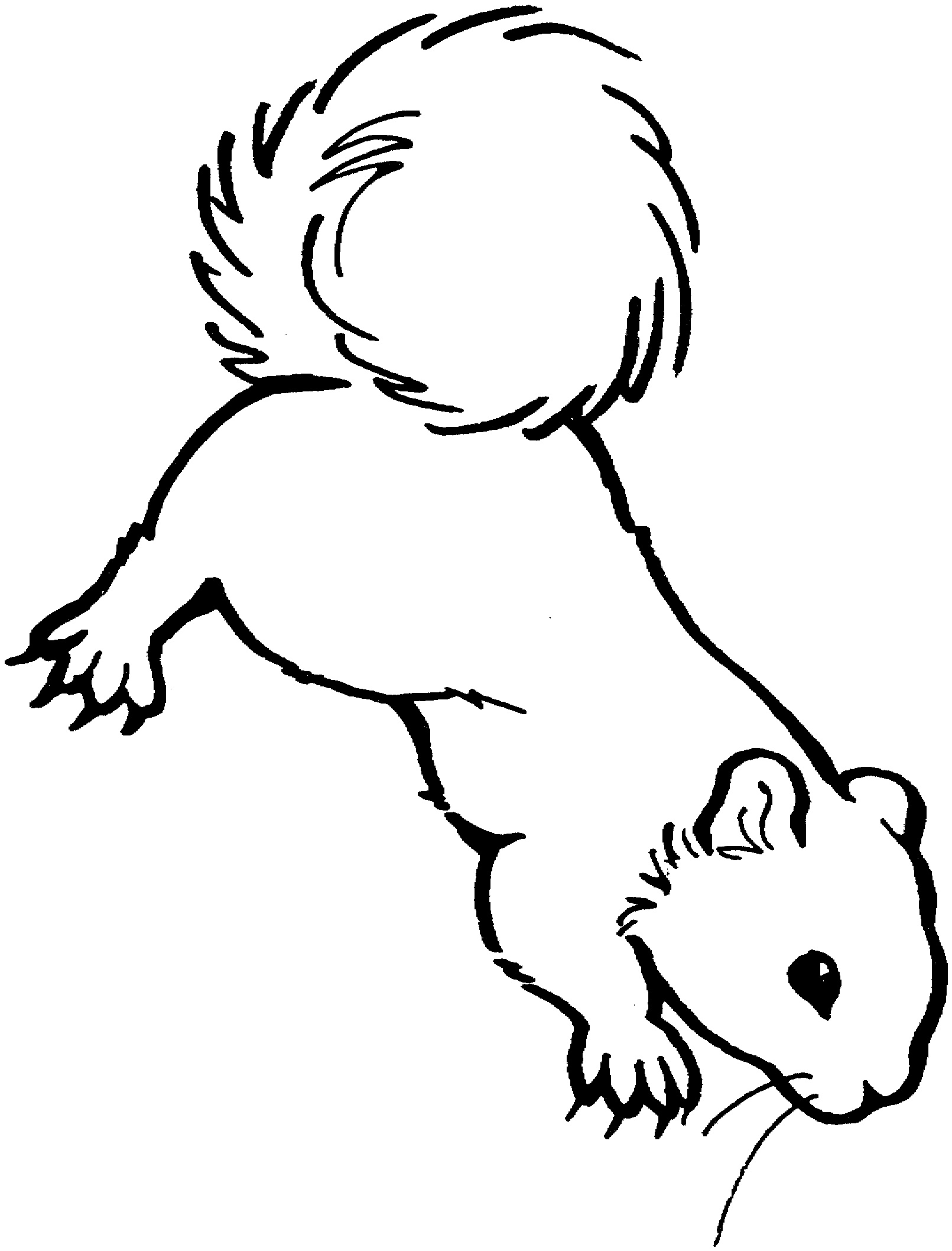 60 Printable Squirrel Coloring Pages 9