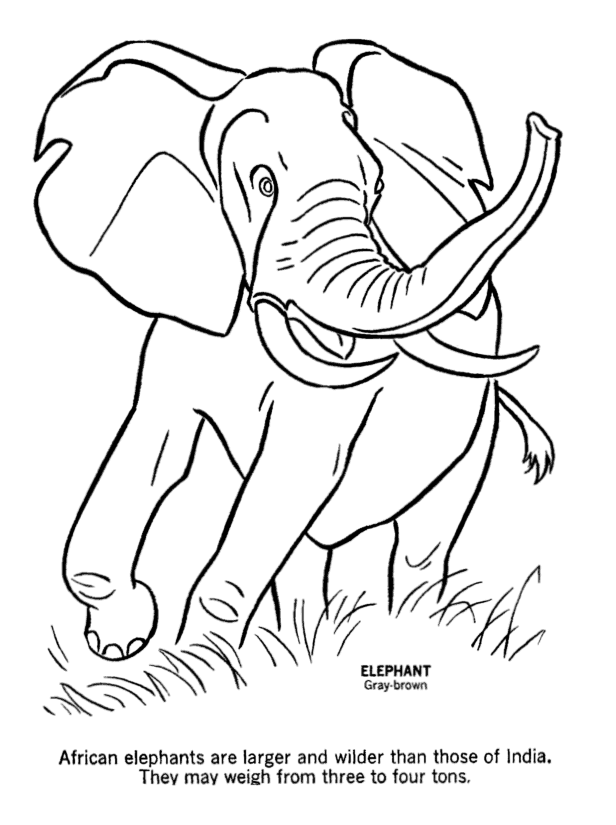 Save 60 Wild Animals Coloring Pages Ideas 27