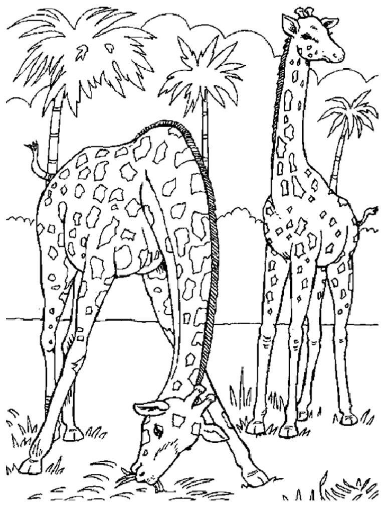 Save 60 Wild Animals Coloring Pages Ideas 28